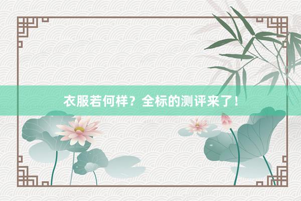 衣服若何样？全标的测评来了！
